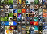 Spiral Photo Gallery